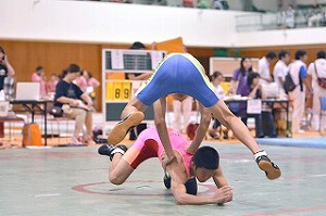 QiPHOTOj